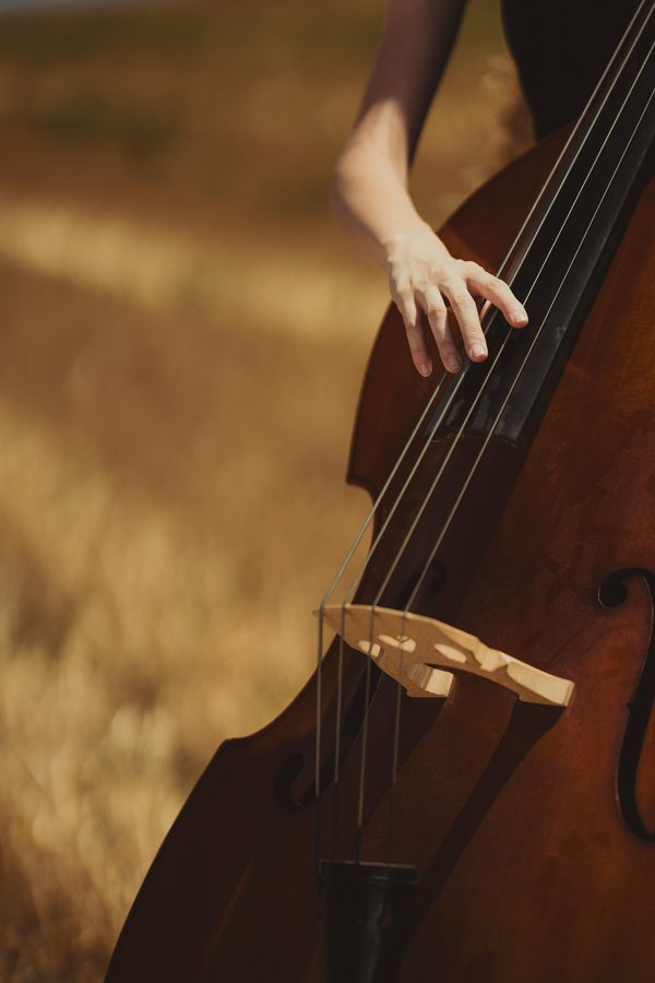 Les meilleurs choix de cordes pour contrebasse : guide complet