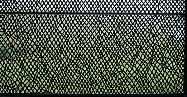 Moustiquaire fenêtre : choisissez la meilleure solution pour votre confort